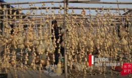 葫芦短视频,趣味横生的短视频盛宴